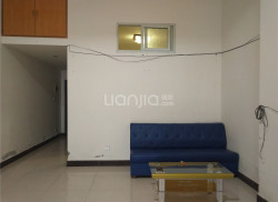 整租&middot;甸花新村 3室1厅 南